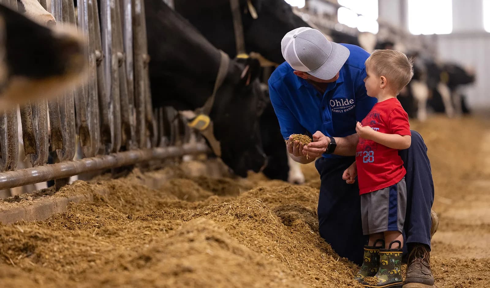 Improving life on the farm
