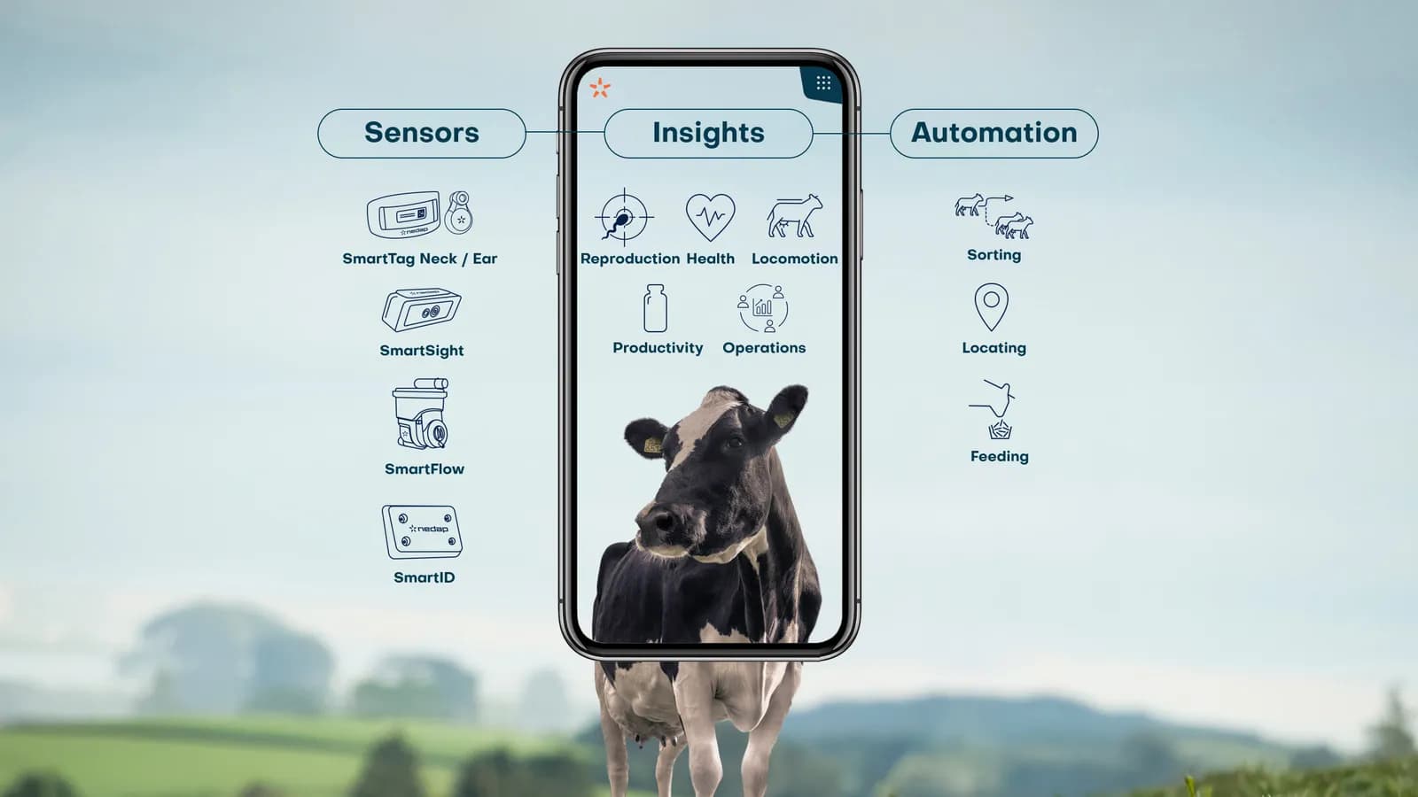 Nedap's Koe Monitoring Platform in één oogopslag