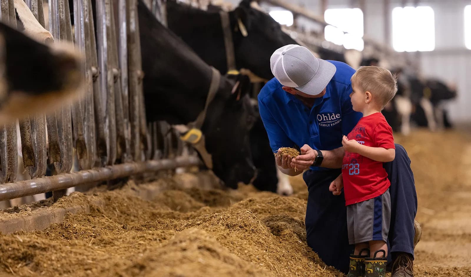 Improving life on the farm
